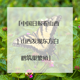 中国日报看山西｜山西发现东方白鹳筑巢繁殖